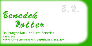 benedek moller business card